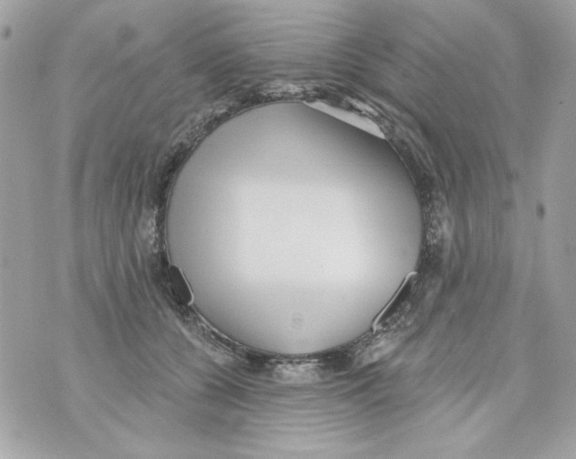 X0000070420560200607072337