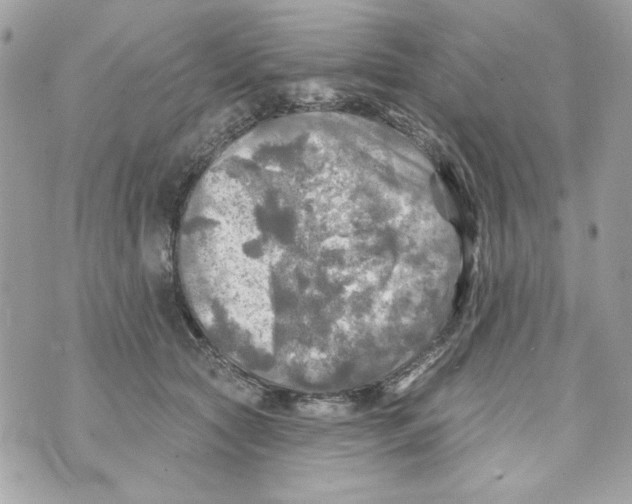 X0000070420561200607072337