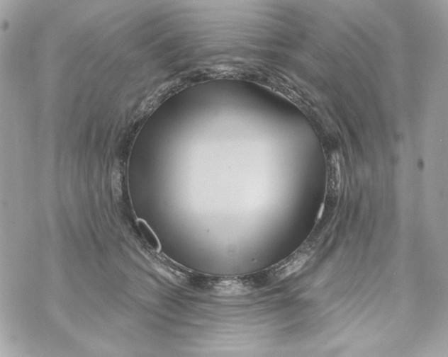 X0000070420562200607072337