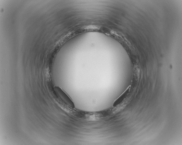 X0000070420564200607072337