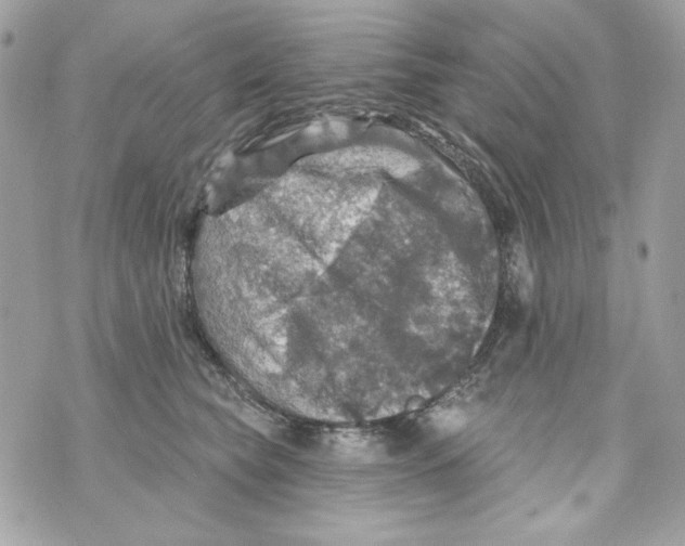 X0000070420565200607072337