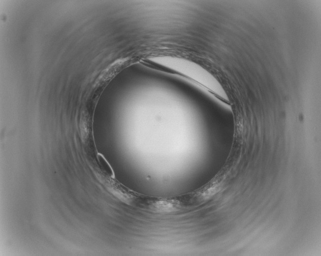 X0000070420566200607072337