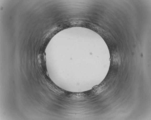 X0000070420567200607072337