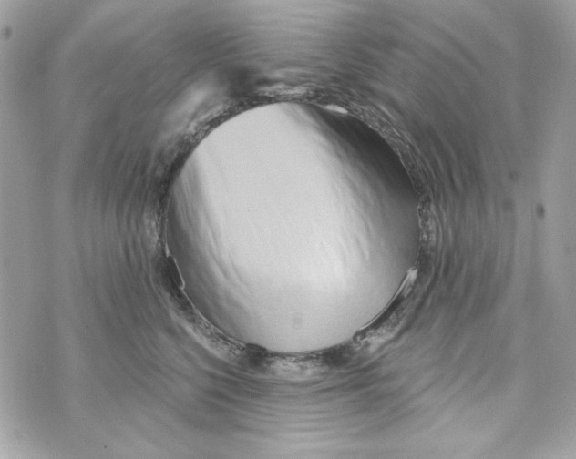 X0000070420568200607072337