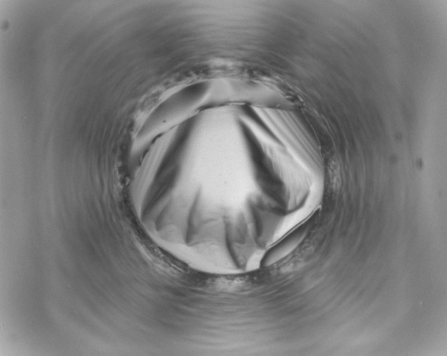 X0000070420570200607072337