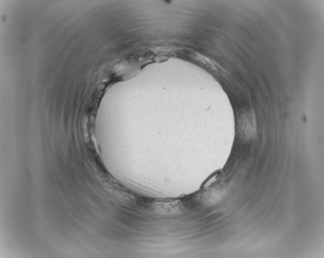 X0000070420571200607072337