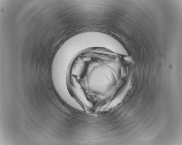 X0000070420572200607072337