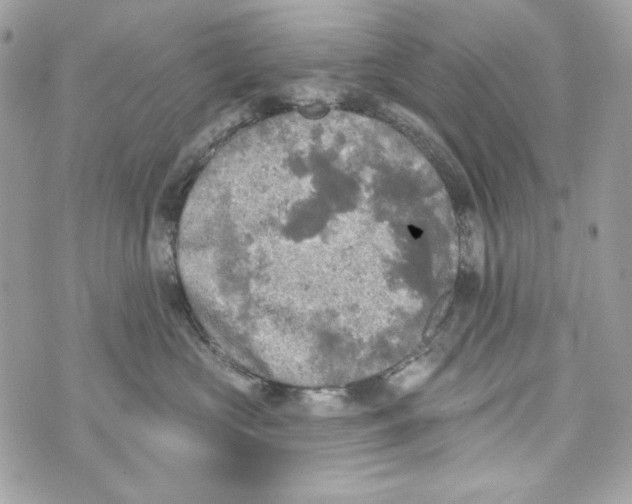 X0000070420573200607072337