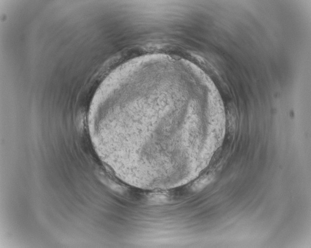 X0000070420574200607072337