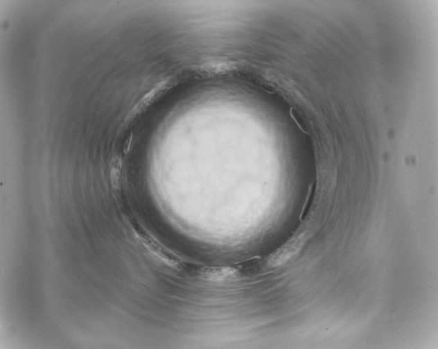 X0000070420576200607072337