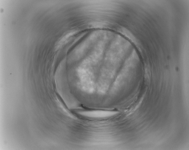 X0000070420577200607072337