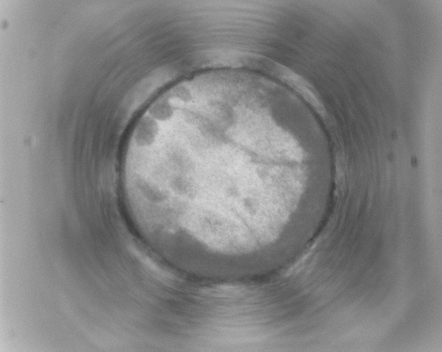 X0000070420578200607072337