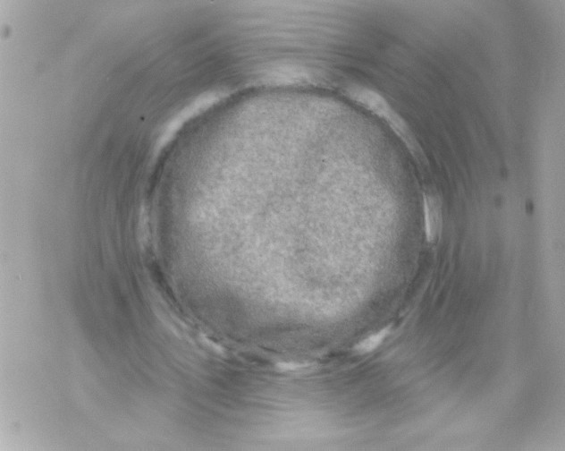 X0000070420579200607072336