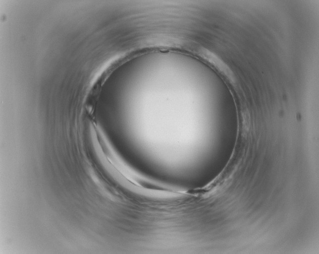 X0000070420580200607072336