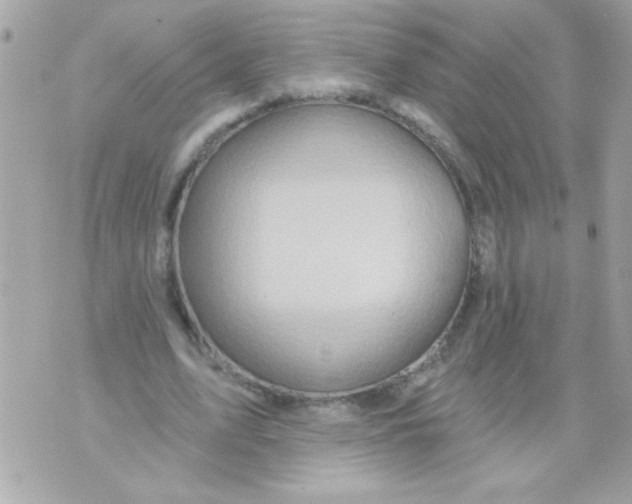 X0000070420583200607072336