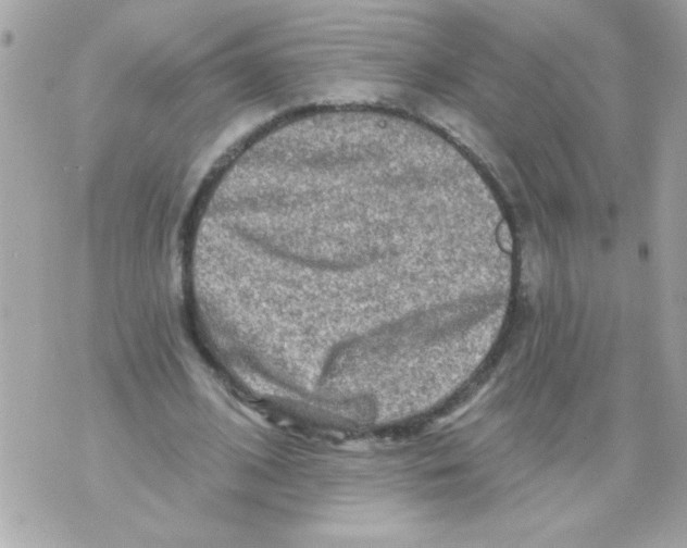 X0000070420584200607072336