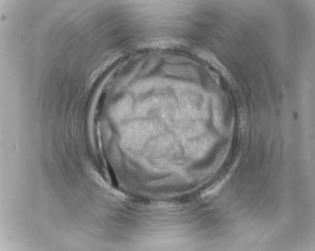 X0000070420585200607072336