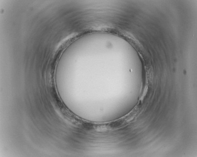 X0000070420587200607072336