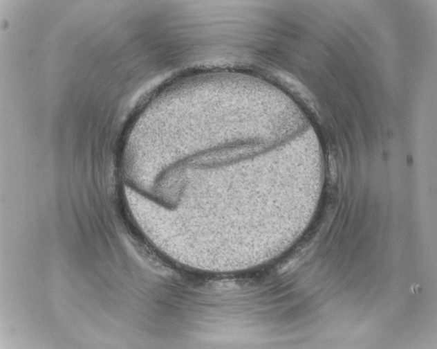 X0000070420588200607072336