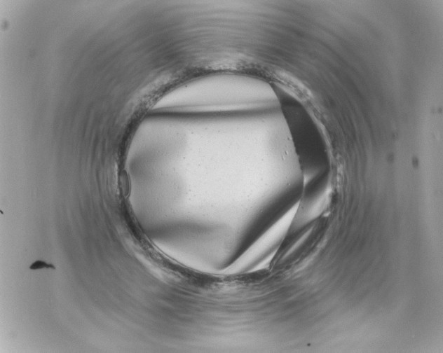 X0000070420589200607072336