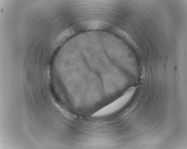 X0000070420590200607072336