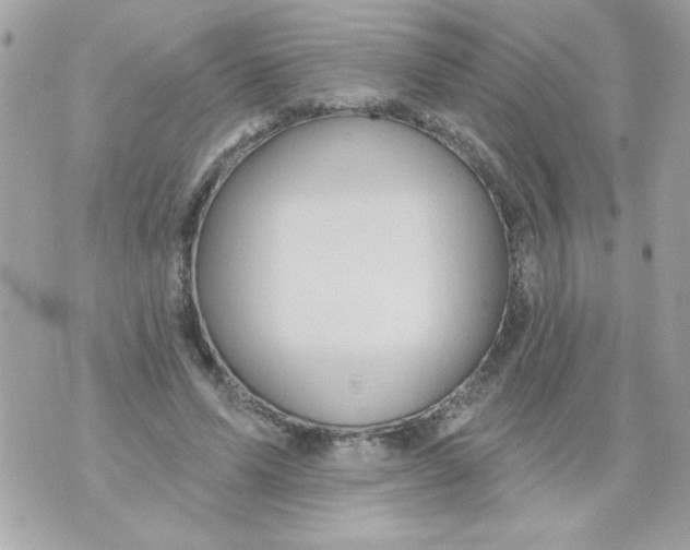 X0000070420591200607072336