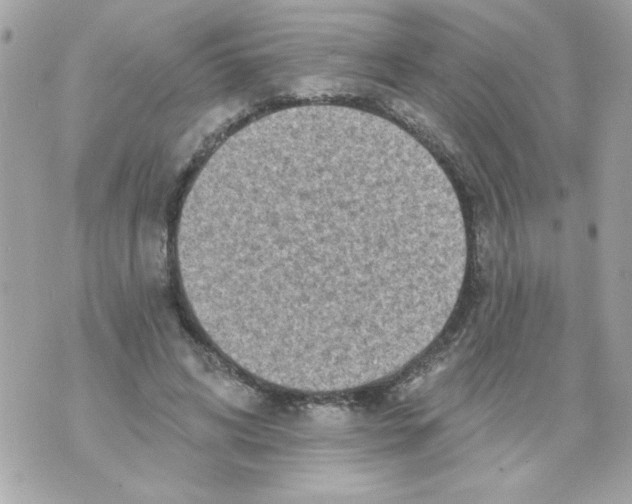 X0000070420592200607072336