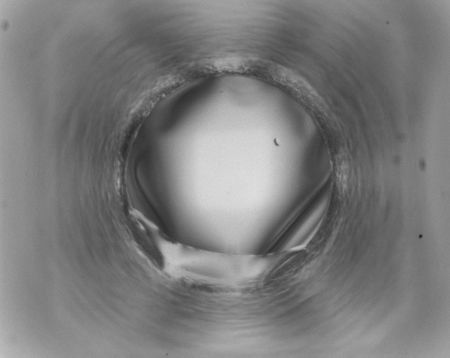 X0000070420593200607072336