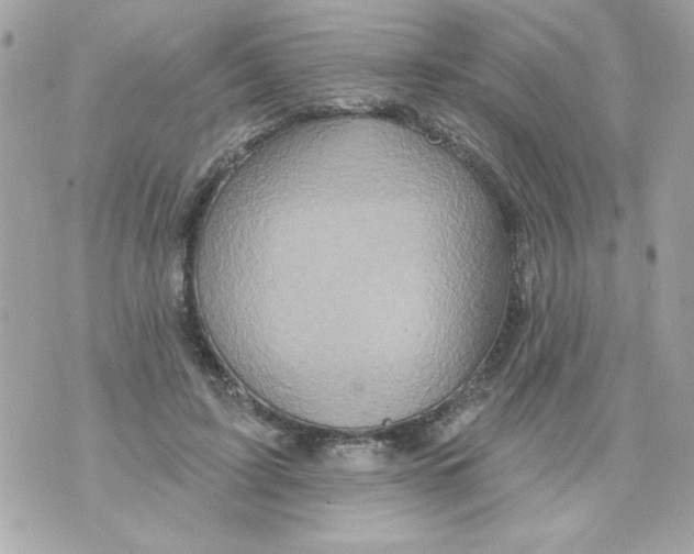 X0000070420595200607072336