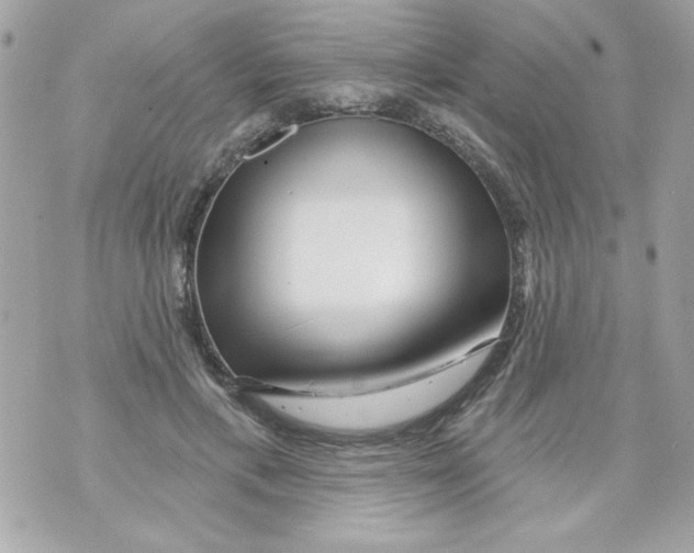 X0000070420597200607072336