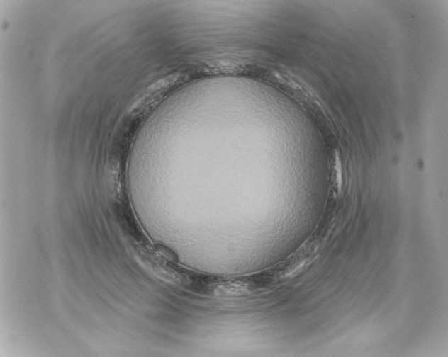 X0000070420599200607072336