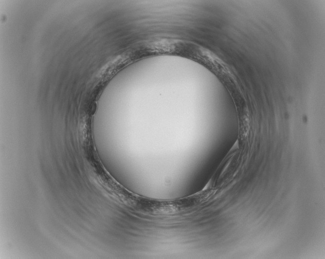 X0000070420600200607072336