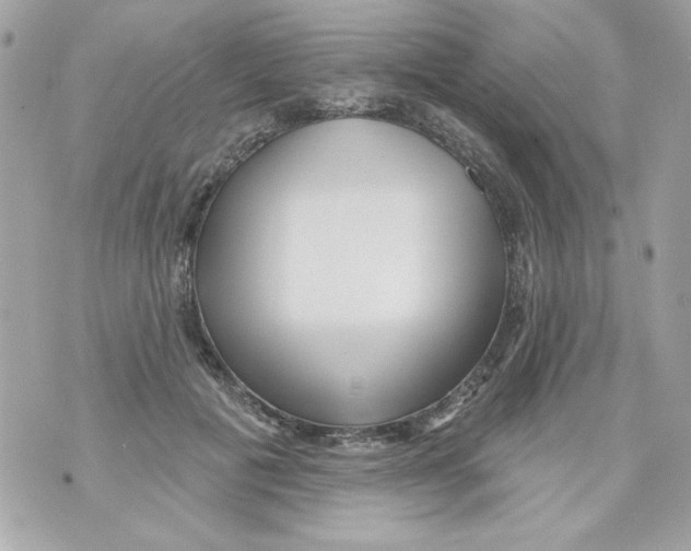 X0000070420601200607072336