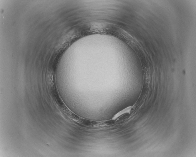 X0000070420603200607072336