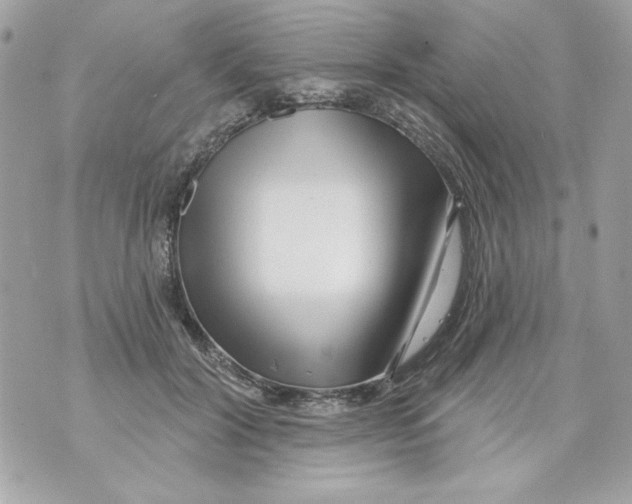 X0000070420604200607072336