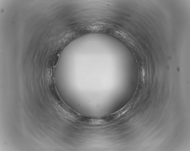 X0000070420605200607072336