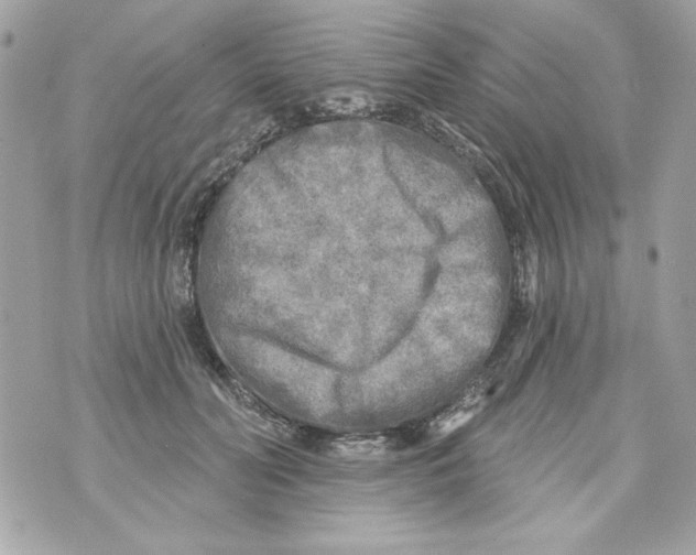 X0000070420606200607072336