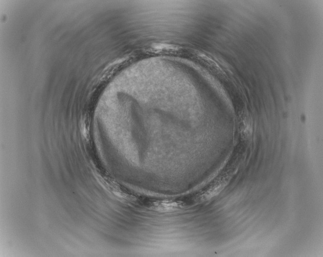 X0000070420607200607072336