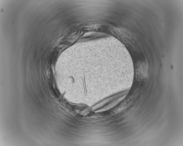 X0000070420608200607072336