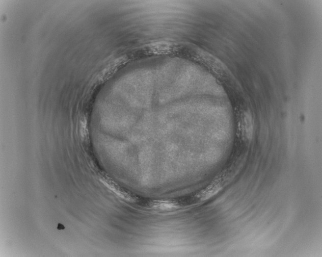 X0000070420610200607072336