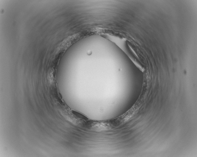 X0000070420611200607072336