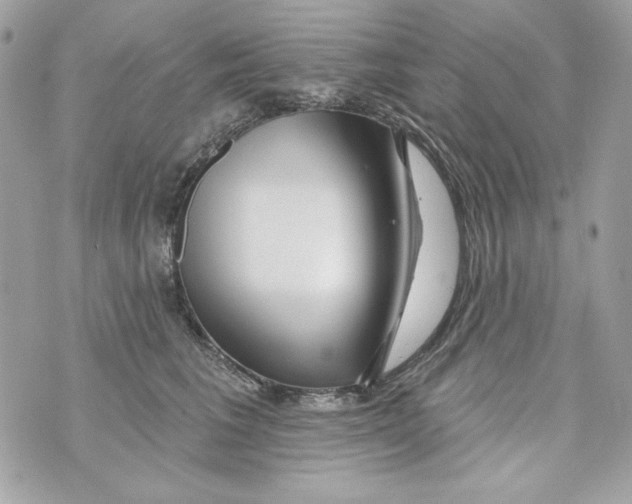 X0000070420613200607072336