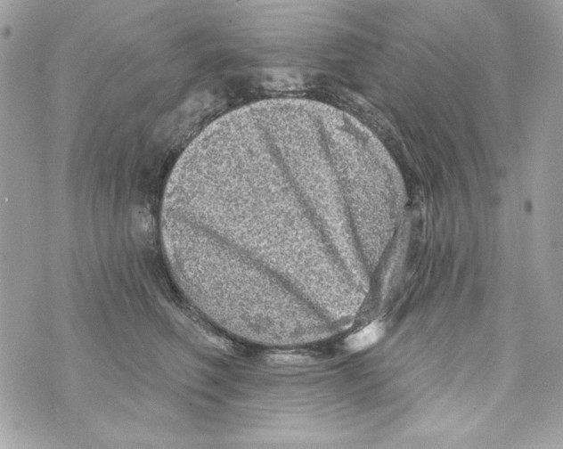 X0000070420614200607072336