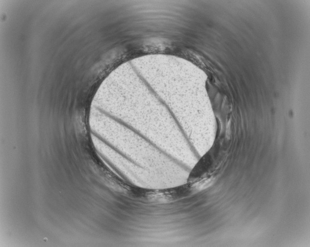 X0000070420616200607072336