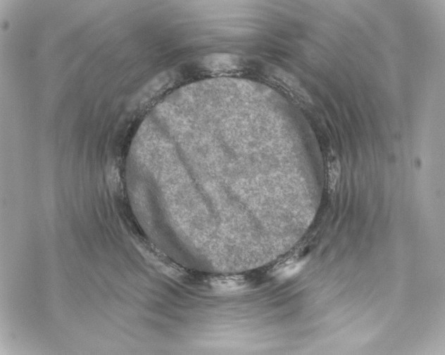 X0000070420618200607072336