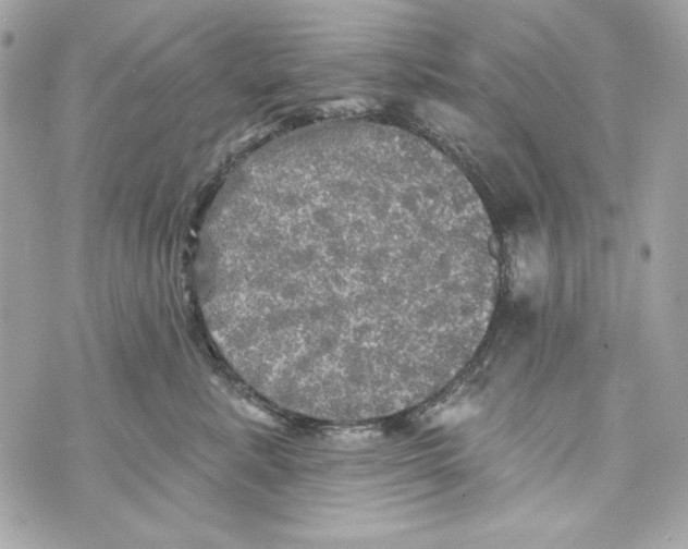 X0000070420619200607072336