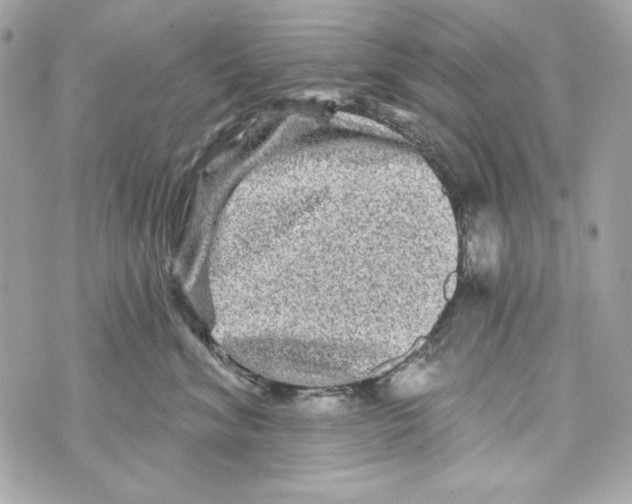 X0000070420620200607072336