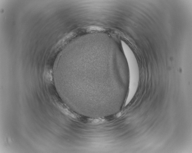 X0000070420621200607072336