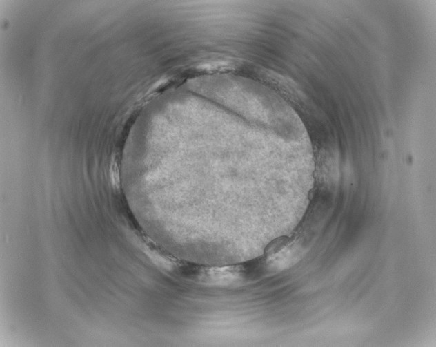 X0000070420622200607072336