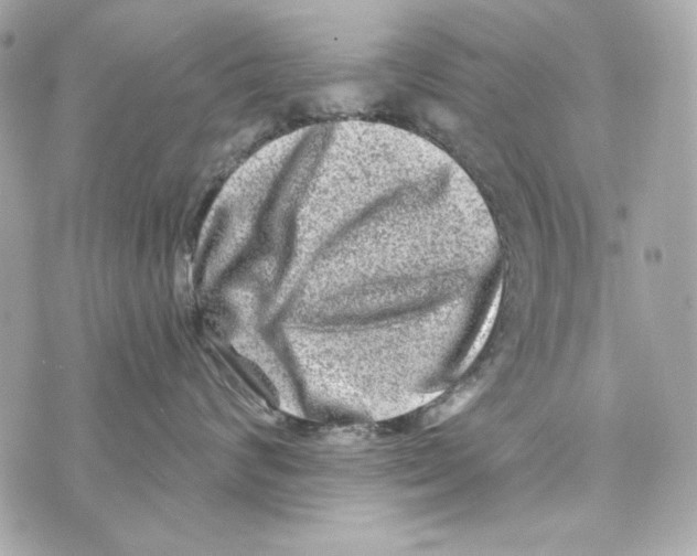 X0000070420624200607072336